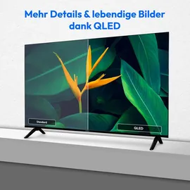 Medion MD 855601 55" 3840 x 2160 QLED 4K-Fernseher