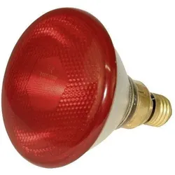 KERBL Glühbirne, strahlend 100 W, rot, PAR38