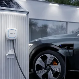 wallbox Pulsar Max Ocpp Evc Type 2 7.4kw 5m Elektroauto-ladegerät - White