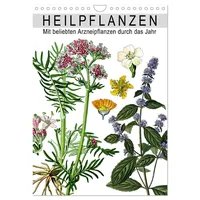 Calvendo Heilpflanzen (Wandkalender 2026 DIN A4 hoch), CALVENDO Monatskalender: