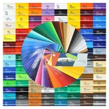 Finest Folia (8,05€/m2 ORACAL High Performance Cast 751C 500cm Plotterfolie Autofolie Gegossene Folie (061 grün, 63cm)