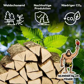 neandertaler feuer Brennholz Buchenholz Kaminholz Grillholz Hartholz Buche Feuerholz Holz für Kamin 10 kg