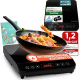 STILLSTERN Induktionskochfeld Induktionskochplatte 2100W 19 Stufen, 24h Timer,