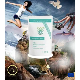 VITARAGNA Magnesium L-Lactat Pulver 180 g