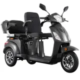 ECONELO E-Seniorenmobil Billy 2.0 3-Rad 1000 Watt Grau