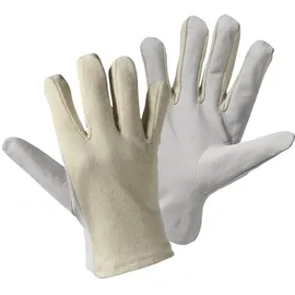 leipold doehle Nappa Trikot Nappaleder Arbeitshandschuh Größe (Handschuhe): 10, XL 1 Paar