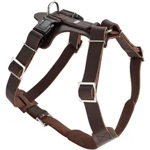 Hunter Aalborg Hundehalsband Braun XS