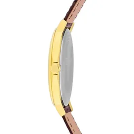Festina Klassik F16747/1