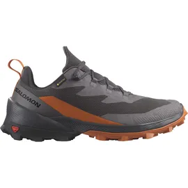 Salomon Wanderschuh »CROSS OVER 2 GORE-TEX®«, wasserdicht Salomon Phantom