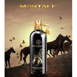 Montale Arabians Tonka Eau de Parfum 100 ml