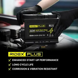 ridex plus Starterbatterie 80Ah 12V