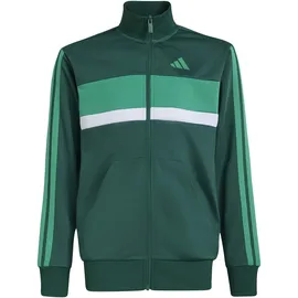 adidas Tiberio Trainingsanzug Collegiate Green/Court Green 140