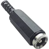 BKL Electronic 072209 Niedervolt-Steckverbinder Buchse, gerade 5.5mm 2.5mm 1St.