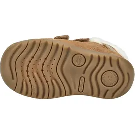 GEOX Macchia Whisky 23