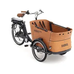 Babboe Curve-E Disc Grau Modell 2024