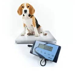 Tierarztliche Waage h721_06