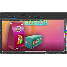 Corel CorelDRAW Graphics Suite 2021 Special Edition