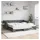 vidaXL Tagesbett 100 x 200 cm Dunkelgrau