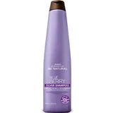 Be Natural Blueberry Silver Shampoo Fco X 350Ml - Plife Be Natural