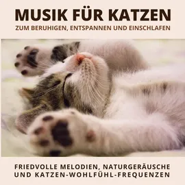 Maravillosos Conceptos & Ideas Mallorca Musik für Katzen zum Beruhigen Entspannen und Einschlafen von Verein der Katzenfreunde / Maravillosos Conceptos & Ideas Mallorca / MP3 Hörbuch