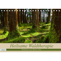 CALVENDO Wandkalender Heilsame Waldtherapie - Waldbaden nach Shinrin Yok 21.0 cm x 1 cm x 14.8 cm