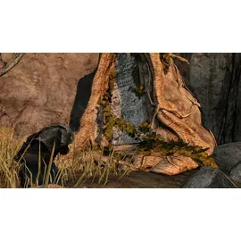 Dark Souls II: Scholar of the First Sin (USK) (PS4)