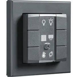 eQ-3 Homematic IP Smart Home Wandtaster HmIP-WRC2-A, 2-fach, anthrazit