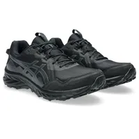 Asics GEL-VENTURE 10 Herren Black / Graphite Grey 42