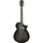 IBANEZ AEWC16QA-TKH Westerngitarre