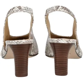 HÖGL Pumps in Taupe | 38
