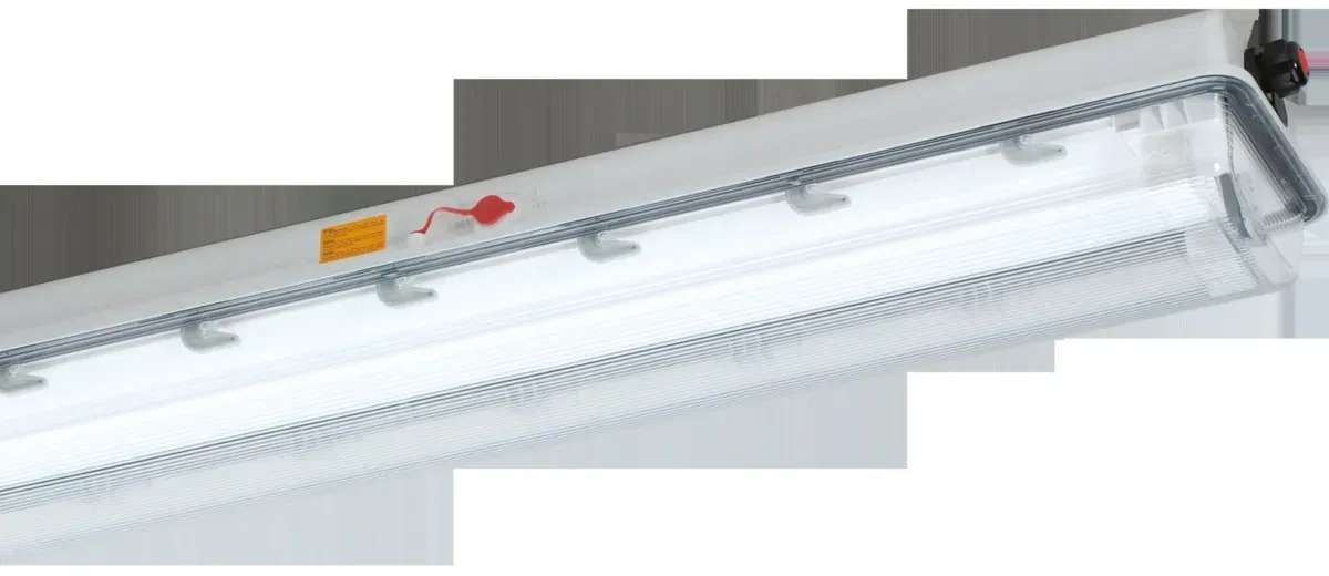 Schuch Licht LED-Ex-Wannenleuchte e840 06L22