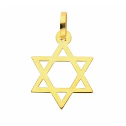 Ketten-Anhänger ADELIA ́S "Damen 585 Gold Anhänger Davidstern", gold, Schmuckanhänger, Damen, Damen, Gelbgold 585-Gold, Gelbgold 585, Gold, Goldschmuck für Damen