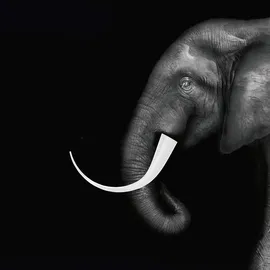 Kartell Taj Mini Weiß