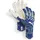 Puma Torwarthandschuhe Grau/Persian Blue/Pro Green 8