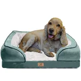 Traumreiter orthopädisches Hundebett für mittelgroße Hunde 70x50 cm (Innenmaß ca. 48x28 cm), Grün, Hundekörbchen Hundekorb Hundekissen Hundehöhle Hundesofa Hunde Bettchen Hundebetten mittlere Hunde