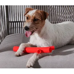 Tchibo - Hunde-Spielzeug »Ast« - rot