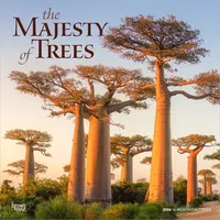 Browntrout Verlags GmbH The Majesty of Trees – Die