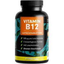ProFuel Vitamin B12 Lutschtabletten 240 St.