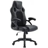 Raptor Gaming GS-40 Gamingstuhl, schwarz