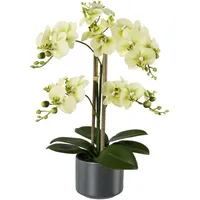 Kunstpflanze Orchidee, Creativ green, Höhe 38 cm grün