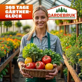 Gardebruk Gewächshaus 380x190x195cm mit Fundament