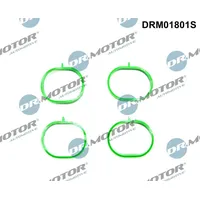 DR.MOTOR AUTOMOTIVE Dichtungssatz, Ansaugkrümmer