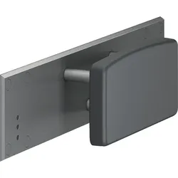 Rückenstütze Cavere (Ausführung: Rückenlehne Serie Cavere mit Montageplatte Anthrazit-Metallic ohne Montageset)