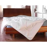 Bestlivings Bettdecke 135x200cm, 4 Jahreszeiten Steppbett, Allergiker geeignet - waschbar bei 95°C - bestehend aus 2 Schlafdecken mit Druckknöpfen - Weiß