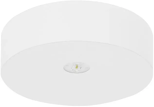 Fischer LED-Sicherheitsleuchte AXD315ECC2
