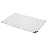 SPESSARTTRAUM Silber medium 100% Daunen 155x200 cm