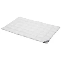 SPESSARTTRAUM Silber medium 100% Daunen 155x200 cm