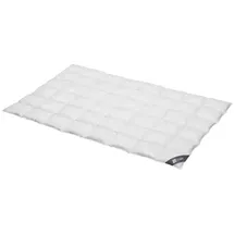 SPESSARTTRAUM Silber medium 100% Daunen 155x200 cm