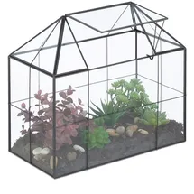 Relaxdays Gewächshaus Glas Schwarz/Transparent 0 mm 0,09 m2