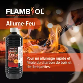 Höfer Chemie Grillanzünder Flüssig 6 x 1 L